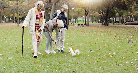 Image showing Park, senior friends and feed squirrel, bonding and having fun outdoor. Group of elderly women, animal and nature, play on holiday and vacation, relax and enjoy quality time for retirement in winter