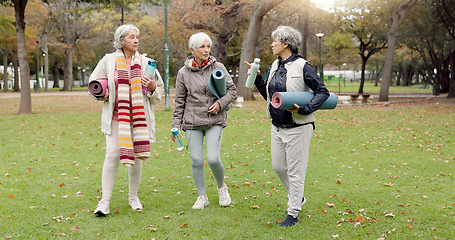 Image showing Smile, retirement and senior friends in the park, laughing together while standing on a field of grass. Portrait, freedom and comedy with a group of elderly women in a garden for fun or humor