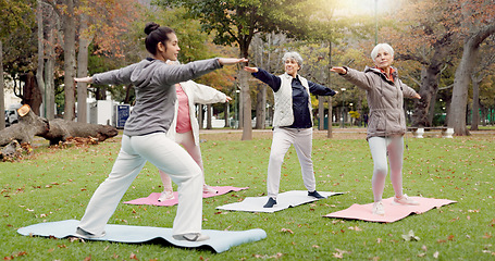 Image showing Trainer, park and old women stretching, yoga and fitness for wellness, exercise and pilates training. Female people, senior club and group outdoor, meditation and workout with health and retirement