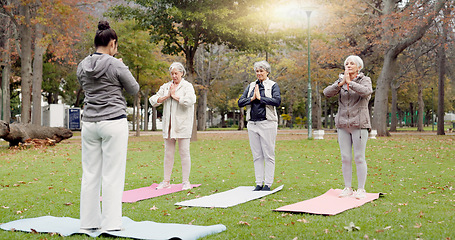 Image showing Trainer, park and elderly women stretching, yoga and fitness for wellness, health and pilates training. Female people, senior club or group outdoor, meditation or workout with exercise or retirement