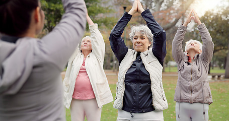 Image showing Trainer, park and elderly women stretching, yoga and fitness for wellness, health and pilates training. Female people, senior club or group outdoor, meditation or workout with exercise or retirement