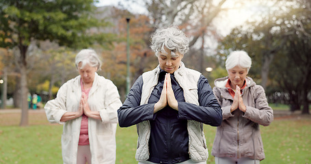 Image showing Health, park and elderly women stretching, yoga and exercise for wellness, retirement and pilates training. Female people, senior club or group outdoor, meditation and workout with self care or peace