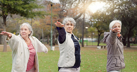 Image showing Trainer, park and elderly women stretching, yoga and fitness for wellness, exercise and retirement. Female people, senior club and group outdoor, meditation and workout with progress and self care