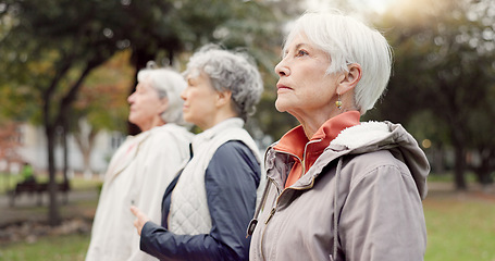 Image showing Breathing, park and elderly women with peace, yoga and fitness for wellness, calm and pilates training. Female people, senior club and group outdoor, meditation and workout with health and fresh air