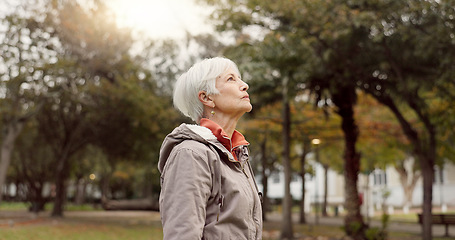 Image showing Freedom, nature and elderly woman breathing on vacation, holiday journey and winter travel. Park, fresh air and senior person outdoor for peace, calm and celebration for health, wellness and relax.