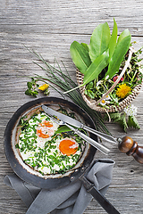 Image showing Fried egg spring plants