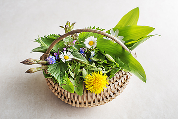 Image showing Spring food plants