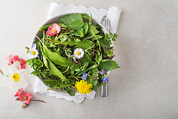 Image showing Spring food plants