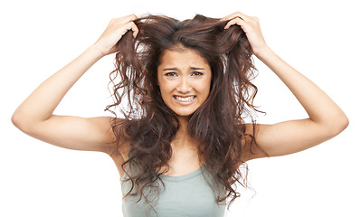 Image showing Hair, woman and portrait with stress in studio for texture, treatment damage and keratin hairloss. Model, person and frustrated with salon for haircare, cosmetics and hairstyle on white background
