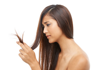 Image showing Hair care, woman and frustrated in studio with shampoo texture, treatment damage and keratin hairloss problem. Model, person and stress with salon haircut, split ends or hairstyle on white background