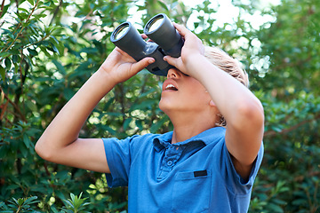 Image showing Boy, child with binoculars and surprise, search in nature for learning and fun, forest and adventure at summer camp. Young camper, leaves and trees, explore environment outdoor and wow for discovery
