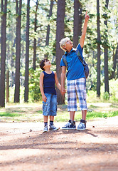 Image showing Boys, children and pointing at trees while hiking in forest, nature and exploration with adventure outdoor. Discovery, travel with brothers or friends trekking in park for sightseeing with backpack