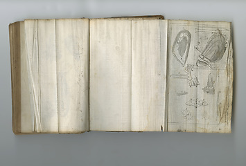 Image showing Medical, information and drawing in book on paper in antique, vintage or old science textbook with knowledge. Archive, illustration and diagram on parchment with notes, science and study of organ