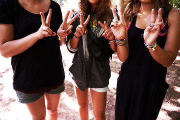Image showing Woman, friends and peace sign at outdoor party or social celebration, carnival as hipster group. Female people, vacation and hand gesture at happiness relax event for nature bonding, summer or park
