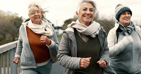 Image showing Senior friends, women and walking with fitness, exercise and fresh air with happiness, wellness and health. Female people, mature ladies and group with speed walk, training and energy with freedom