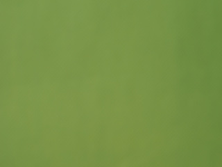 Image showing Abstract Green blur background