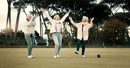 Image showing Senior women, celebration and park for sport, lawn bowling and happy for fitness, goal or applause in nature. Teamwork, elderly lady friends and metal ball for games, contest or win together on grass