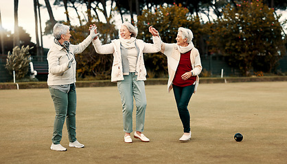 Image showing Senior women, celebration and park for sport, lawn bowling and happy for fitness, goal or applause in nature. Teamwork, elderly lady friends and metal ball for games, contest or win together on grass