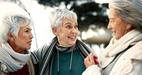 Image showing Talking, laughing and senior woman friends outdoor in a park together for bonding during retirement. Happy, smile and funny with a group of elderly people chatting in a garden for humor or fun