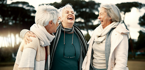 Image showing Talking, funny and senior woman friends outdoor in a park together for bonding during retirement. Happy, smile and laughing with a group of elderly people chatting in a garden for humor or fun