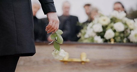 Image showing Death, funeral and hand of man with flower at coffin, family at service in graveyard for respect. Roses, loss and people at wood casket in cemetery with memory, grief and sadness at grave for burial.