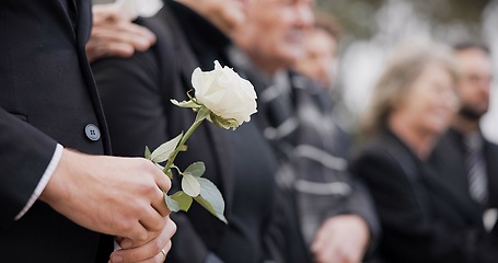 Image showing Hands, rose and a person at a funeral in a cemetery in grief while mourning loss at a memorial service. Death, flower and an adult in a suit at a graveyard in a crowd for an outdoor burial closeup