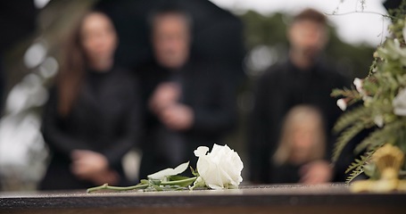 Image showing Rose, coffin and funeral at cemetery outdoor at burial ceremony of family together at grave. Death, grief and flower on casket at graveyard for people mourning loss of life at floral farewell event.