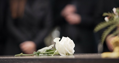 Image showing Funeral, rose and flower on coffin in cemetery for outdoor burial ceremony for mourning person in death, grief or remembrance. Graveyard, roses or flowers for respect on casket, grave or tombstone