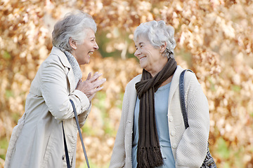 Image showing Senior women, laugh and conversation in park by autumn leaves, together and bonding on retirement in outdoor. Elderly friends, funny joke and comedy on vacation in england, care and social in nature