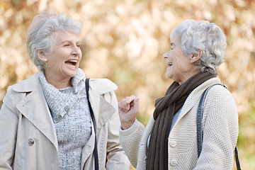 Image showing Senior friends, talking and laughing in nature for reunion, together and funny chat on vacation in outdoor. Elderly women, social and silly discussion on travel adventure in england and care in park