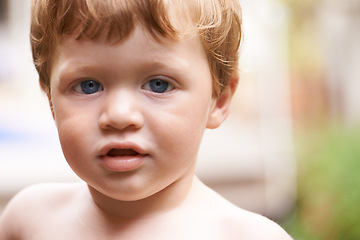 Image showing Toddler, outdoor and portrait of baby in garden, nature or park for fun freedom or playing in backyard. Energy, cute boy and face of a curious male kid outside for child development or growth alone