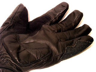 Image showing gloves