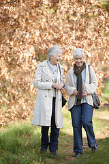 Image showing Senior women, walk or conversation in nature by autumn leaves, together or laughing on retirement in park. Elderly friends, happy or communication on vacation in england, care or exercise in outdoor