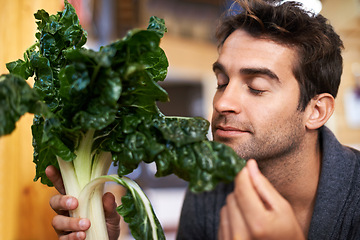 Image showing Spinach, food and man shopping at a supermarket for grocery promotions, sale or discounts deal. Smell, fresh or customer buying groceries for healthy nutrition, organic vegetables or diet with choice