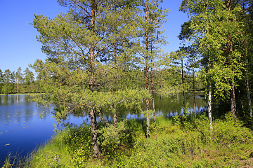 Image showing Blue Lake Scenery on Midsummer Eve