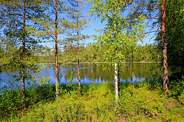 Image showing Rural Lake Scenery on Midsummer Eve