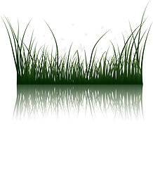 Image showing grass on water