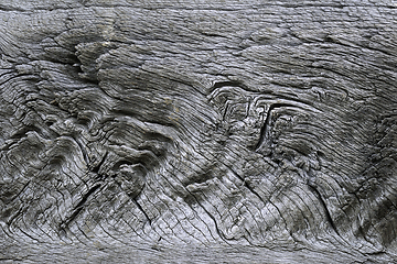 Image showing detailed texture of oak wood