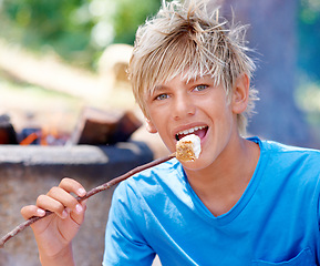 Image showing Child, portrait and marshmallow on stick while outdoor for dessert snack, adventure or summer. Boy, kid and face smile for sweet candy or fire cooking in environment for holiday, forest or hungry