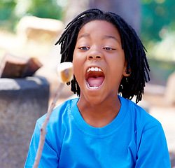 Image showing Child, eating and barbecue marshmallow outdoor, camping and hungry bite of dessert or sweets. Excited, kid and roasting candy on stick in park, woods or forest on holiday or vacation with food