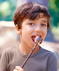 Image showing Child, camping and eating a marshmallow in portrait, hungry and fire roast candy in forest. American boy, summer break and smile on face for sugar snack, chocolate and nature on holiday adventure