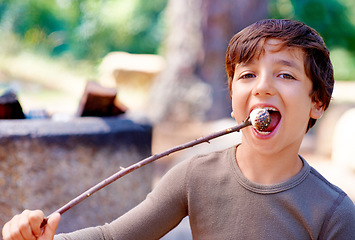 Image showing Boy, camping or eating a marshmallow in portrait, hungry or fire roast candy in forest. Young child, summer break or smile on face for sugar snack, hiking or nature for holiday adventure or treat