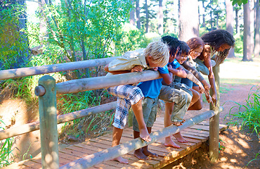 Image showing Children, forest and bridge with outdoor activity, fun and playing on weekend break and summer. Diversity, youth and group with nature and fresh air with happiness and bonding together with hobby