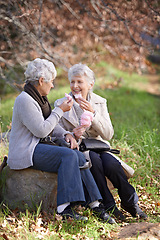 Image showing Elderly women, happy and snack in park with candy floss, eating and together to relax on retirement in outdoor. Senior friends, smile and junk food on vacation in countryside and bonding in nature