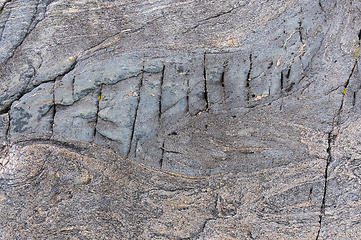 Image showing A detailed view of a weathered rock surface showing natural patterns and textures.