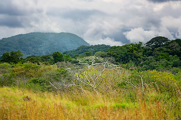 Image showing Rincon de La Vieja Volcano, Costa Rica