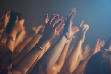 Image showing Hands, crowd and celebration or friends at music festival, collaboration and freedom at nightclub. People, closeup and weekend at party or social event, concert and community or together at show