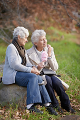 Image showing Elderly women, hungry and snack in park with candy floss, happy and together to relax on retirement in outdoor. Senior friends, smile and junk food on vacation in countryside and bonding in nature
