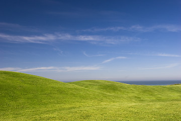 Image showing Green Meadow