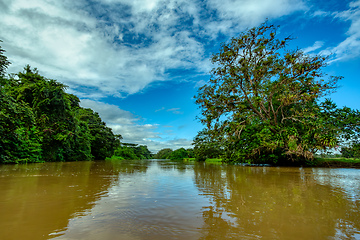 Image showing Landscape of beautiful channel, Refugio de Vida Silvestre Cano Negro, Costa Rica wilderness landscape.